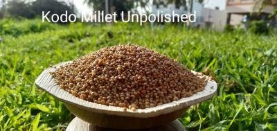 KODO MILLET 20 KG